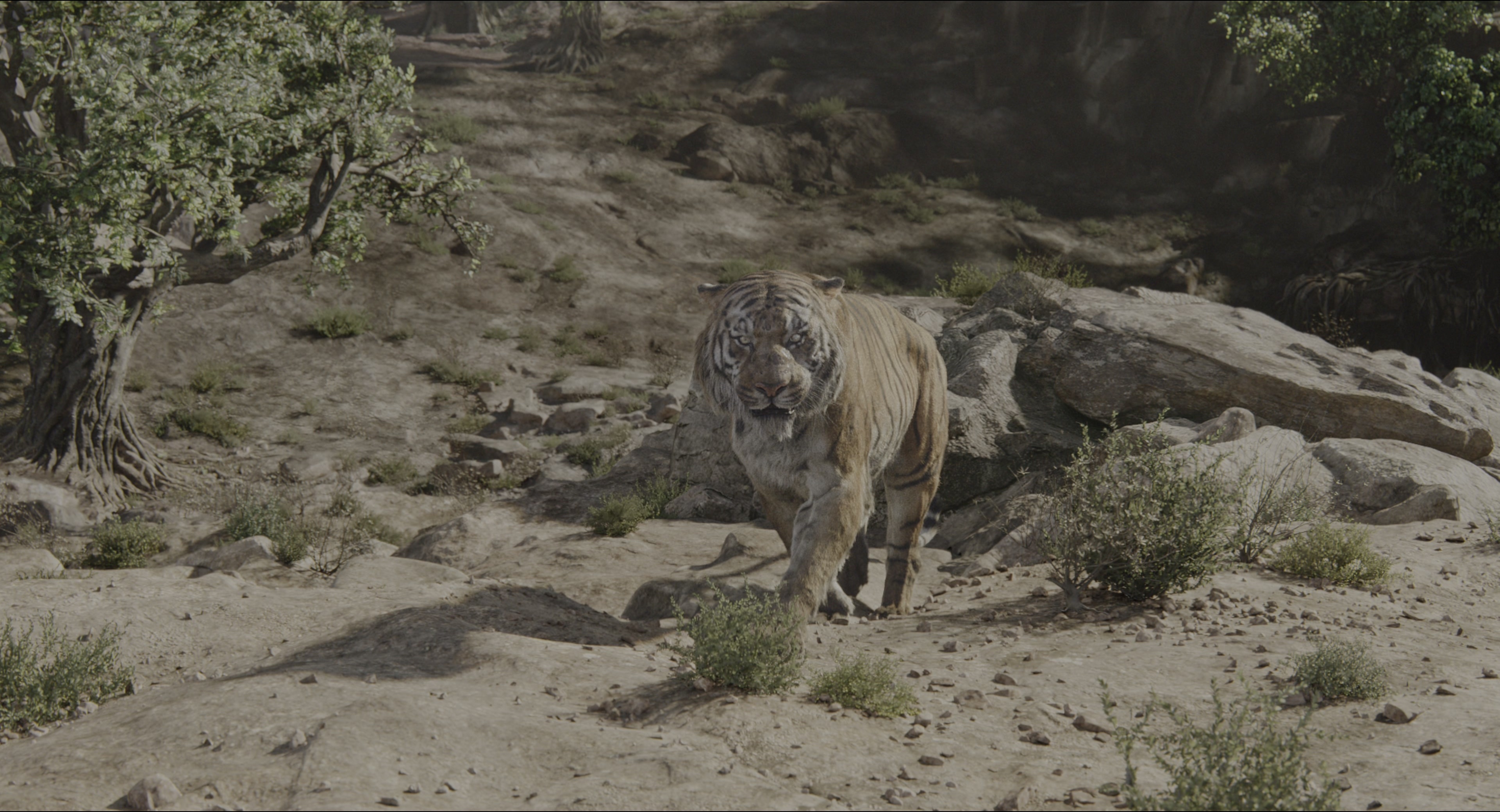 The Jungle Book (2016), wide, 1.85:1 — film still