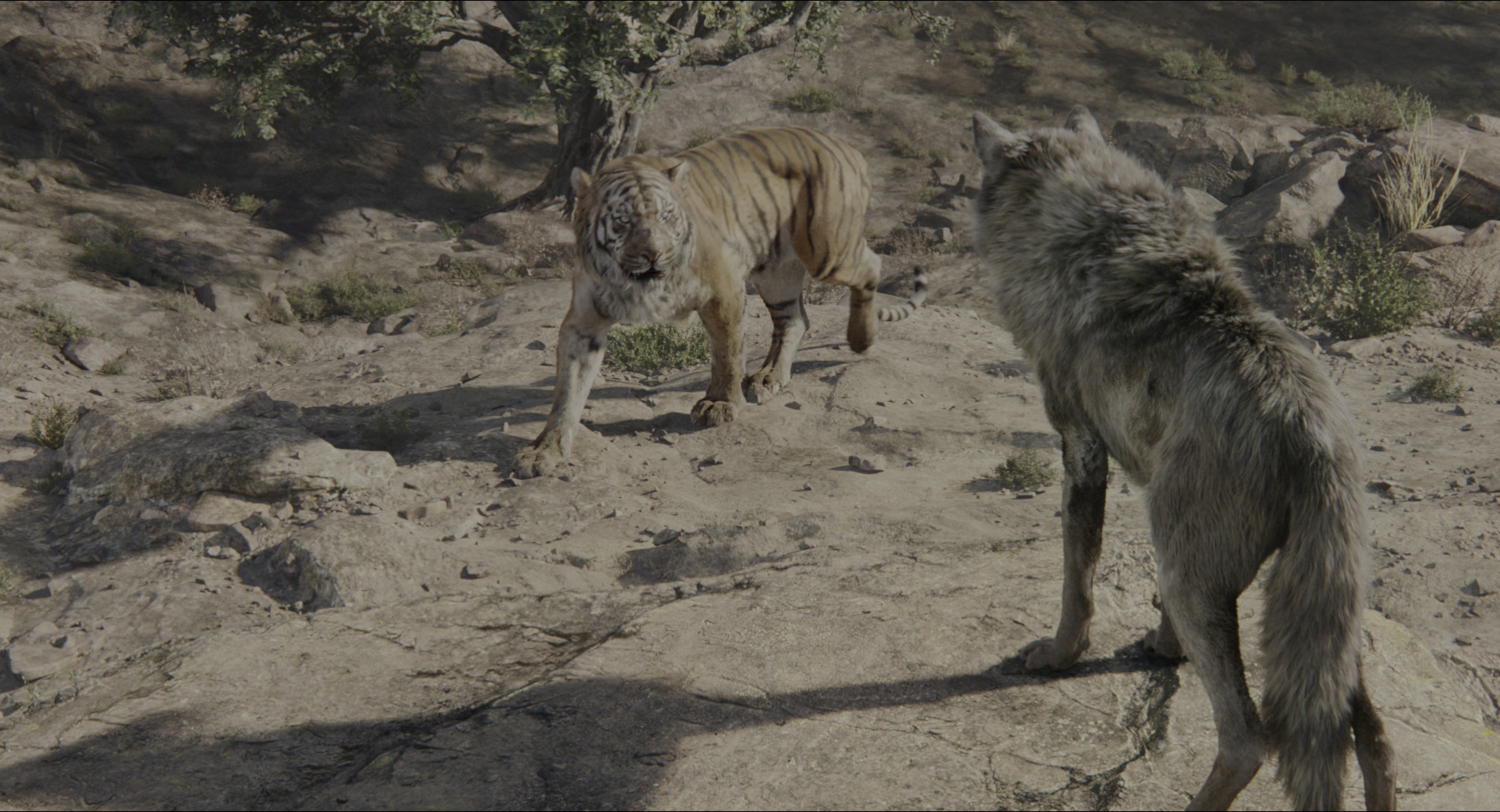 The Jungle Book (2016), wide, 1.85:1 — film still