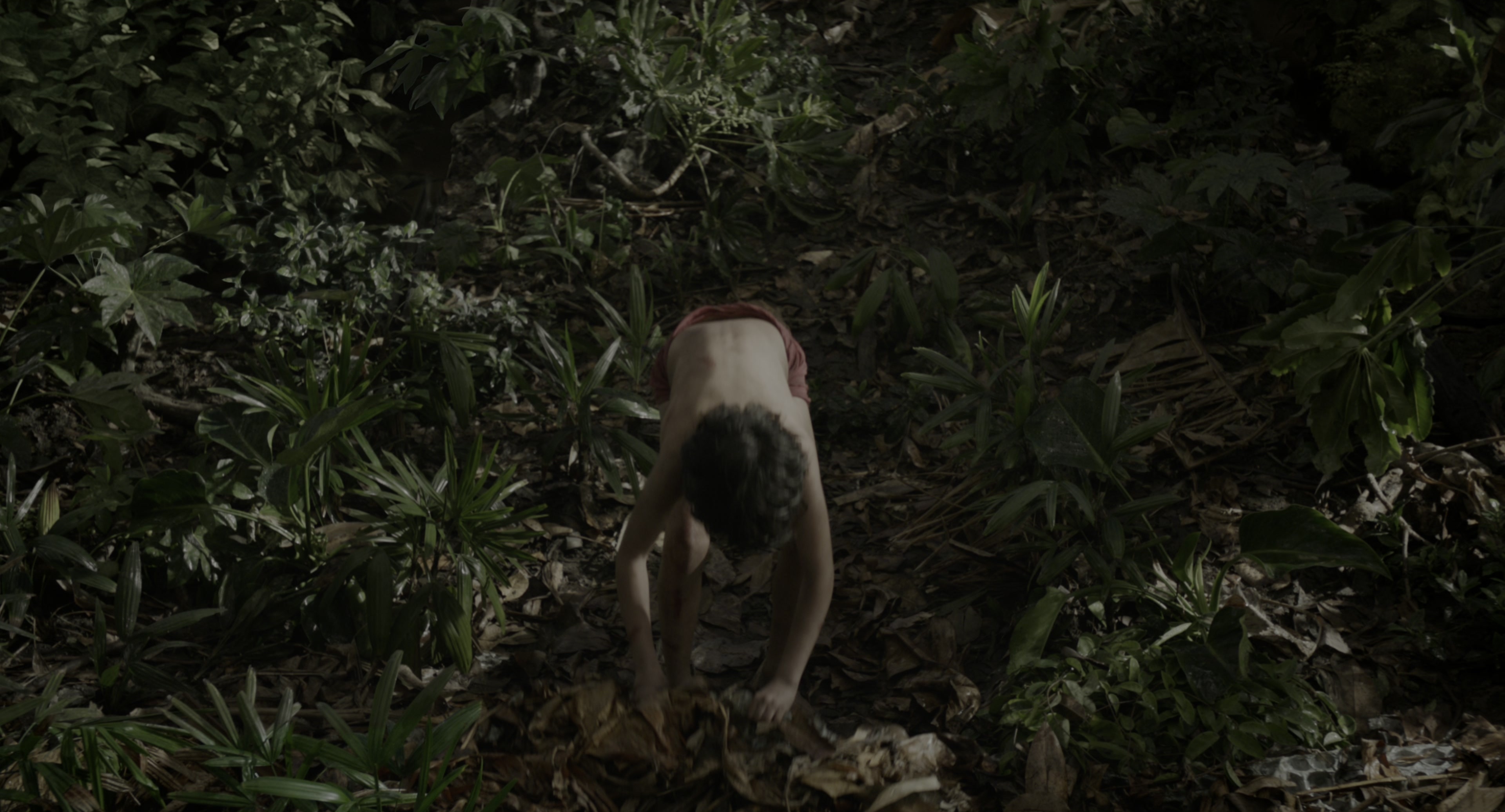 The Jungle Book (2016), wide, 1.85:1 — film still