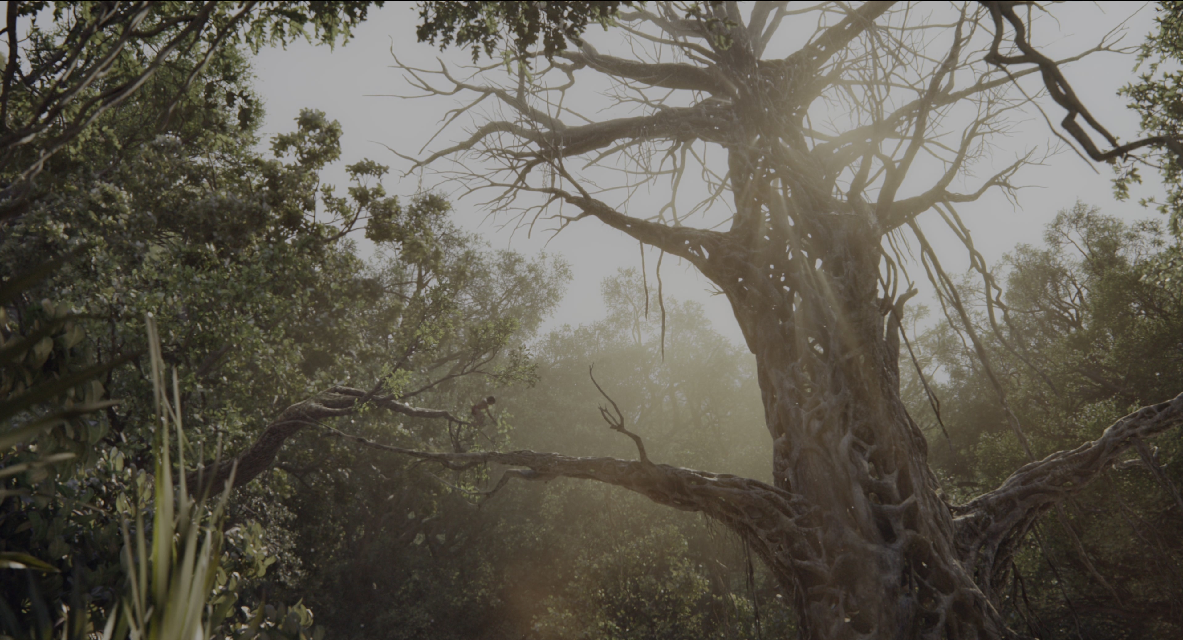 The Jungle Book (2016), wide, 1.85:1 — film still