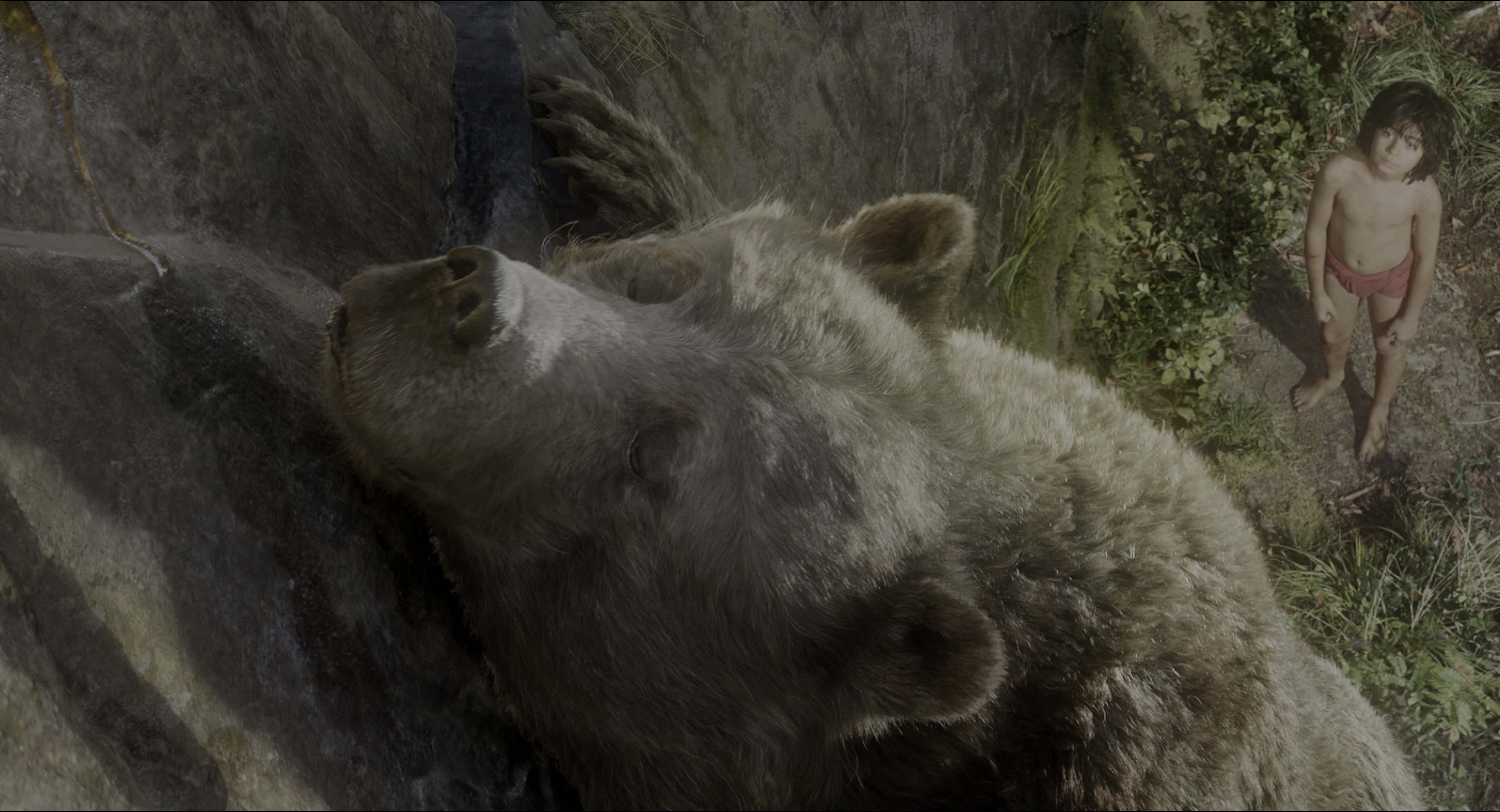 The Jungle Book (2016), wide, 1.85:1 — film still