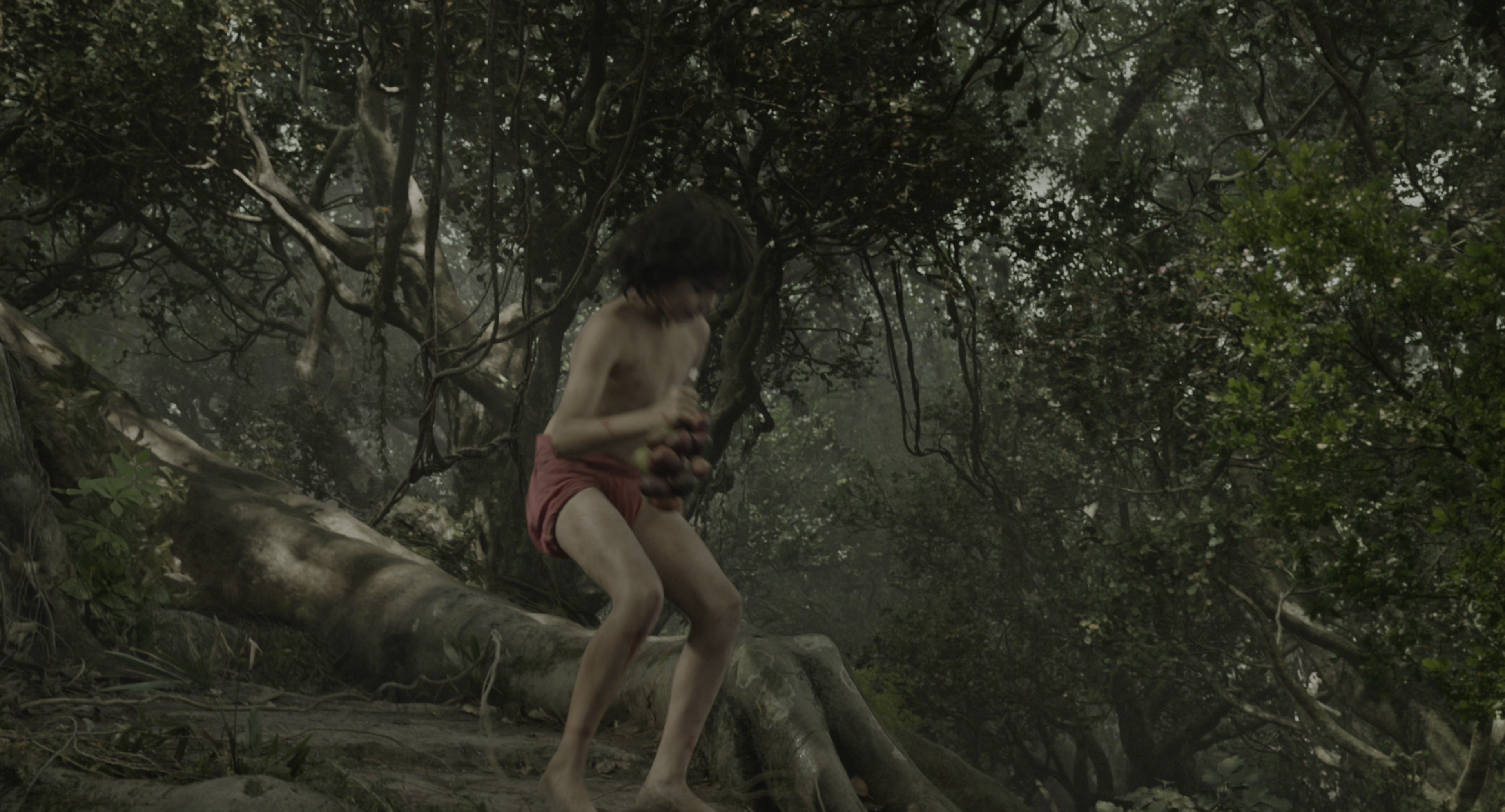 The Jungle Book (2016), wide, 1.85:1 — film still