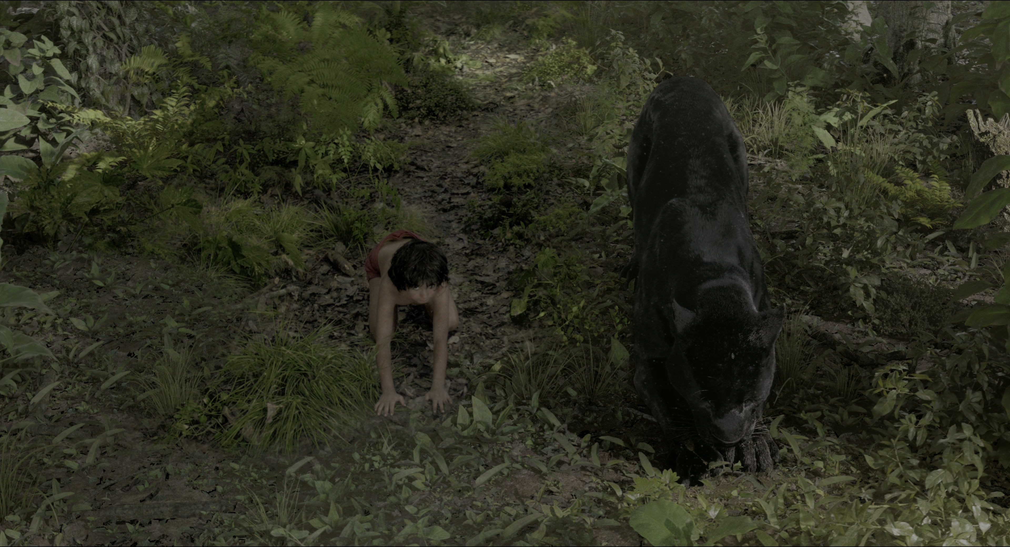 The Jungle Book (2016), wide, 1.85:1 — film still