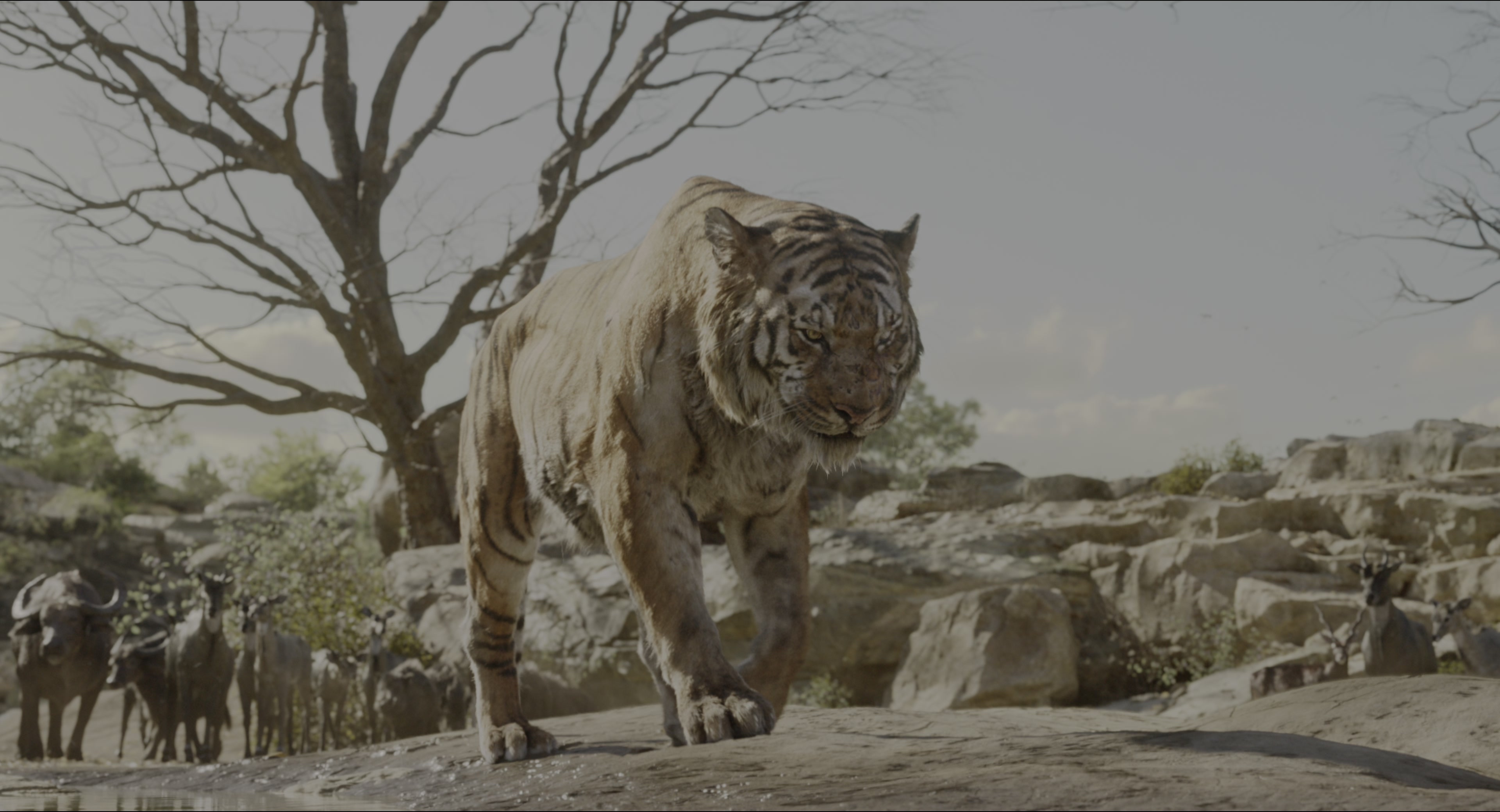 The Jungle Book (2016), wide, 1.85:1 — film still