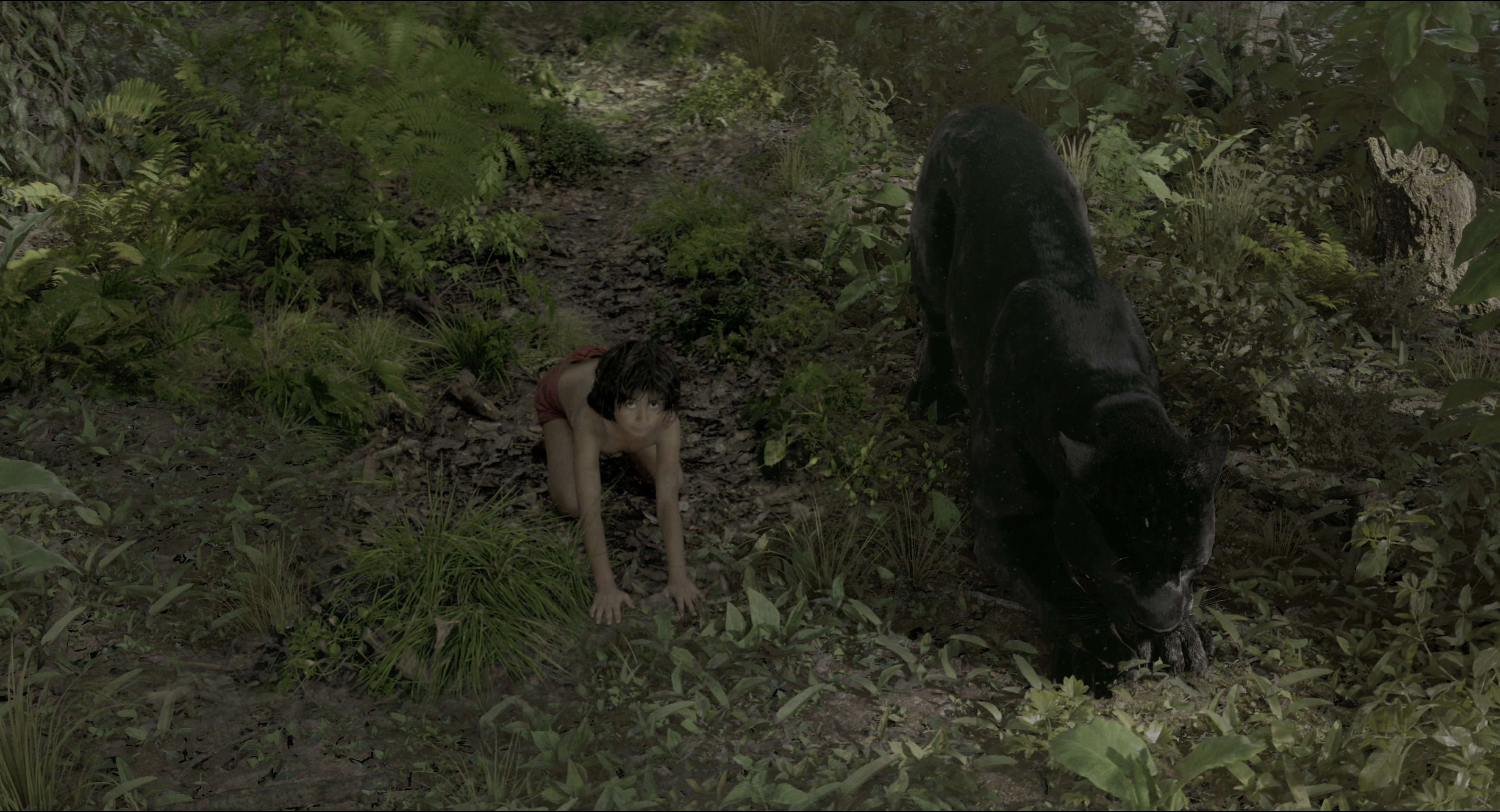 The Jungle Book (2016), wide, 1.85:1 — film still