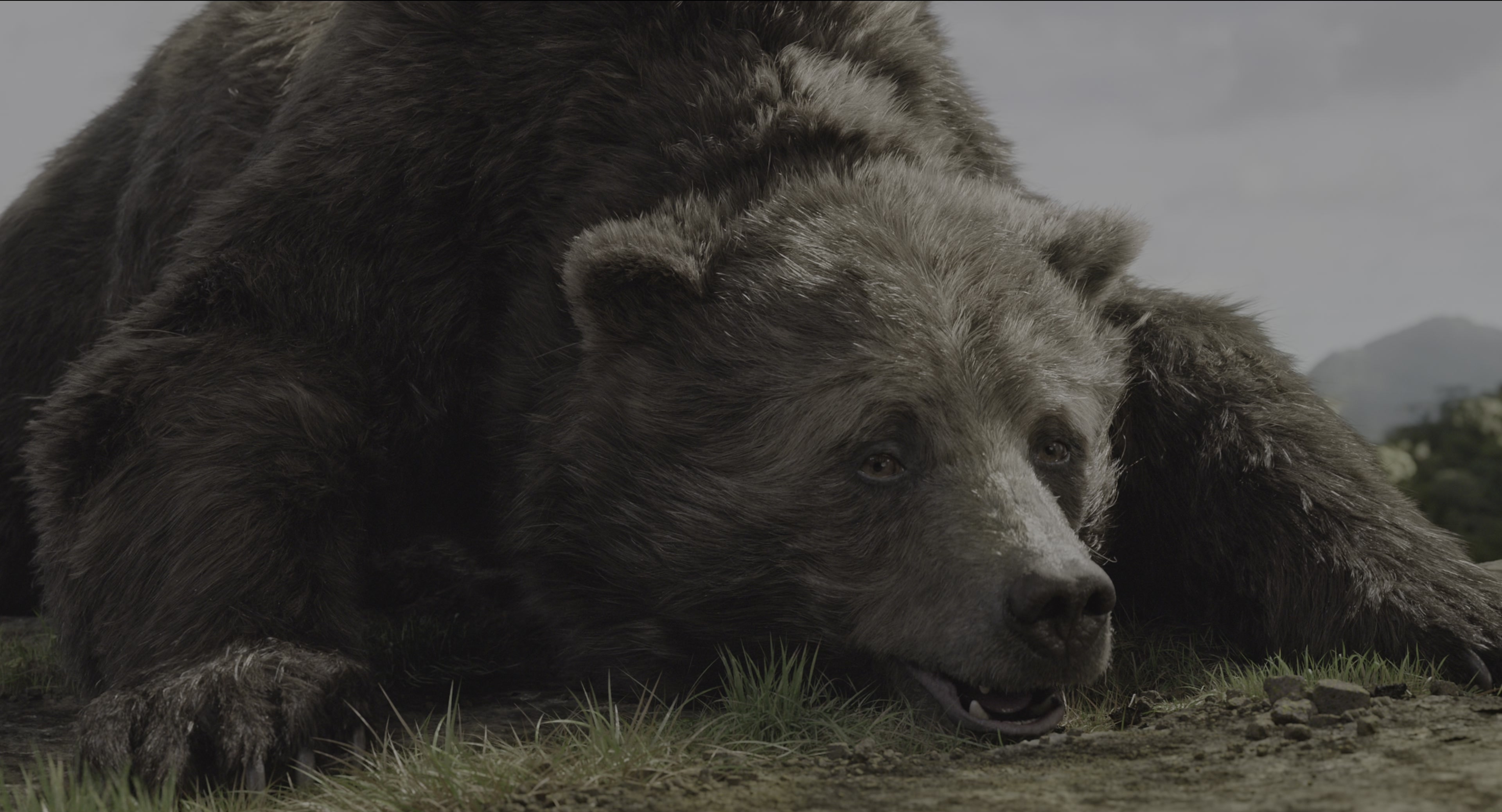 The Jungle Book (2016), wide, 1.85:1 — film still