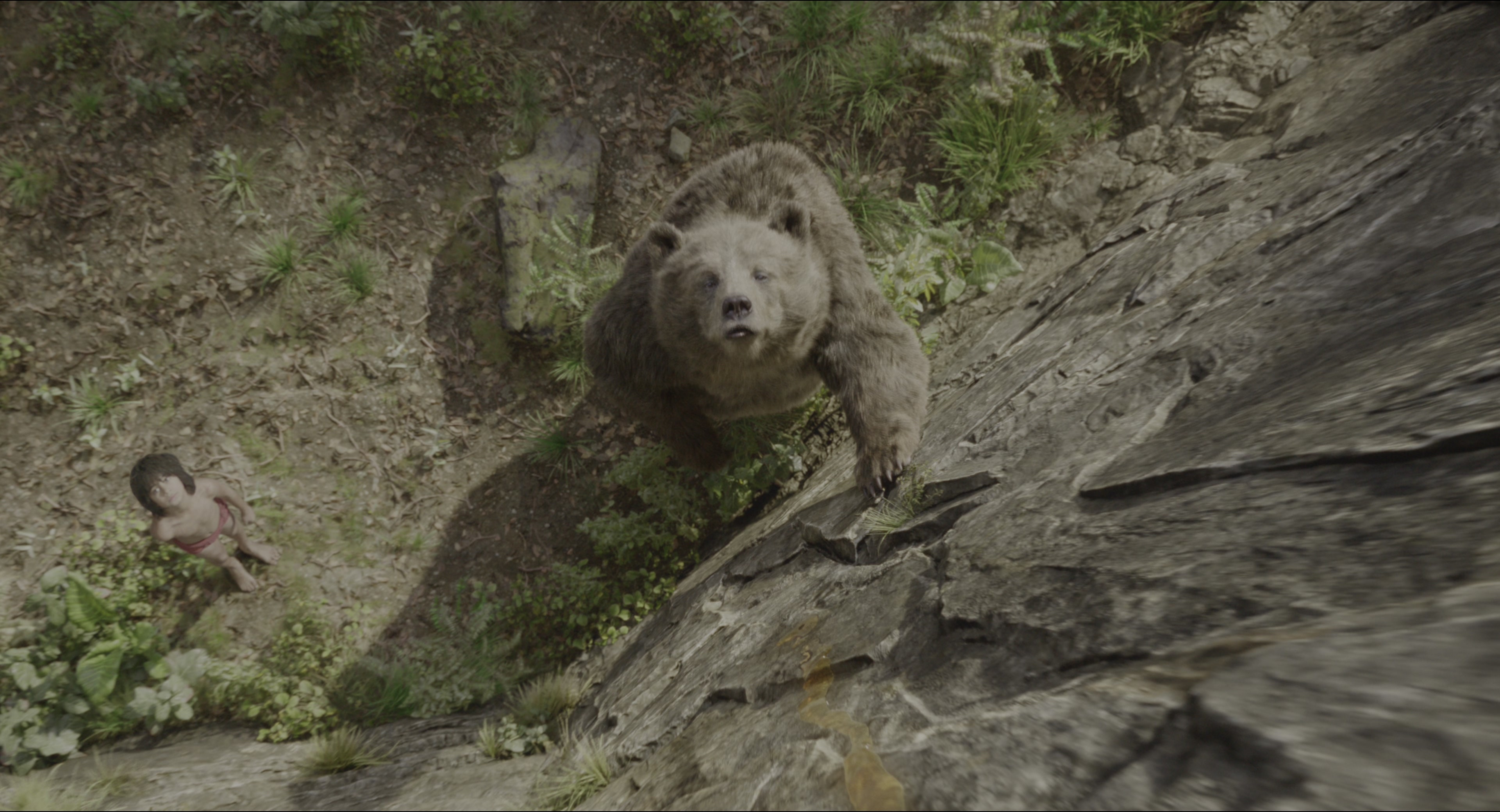 The Jungle Book (2016), wide, 1.85:1 — film still