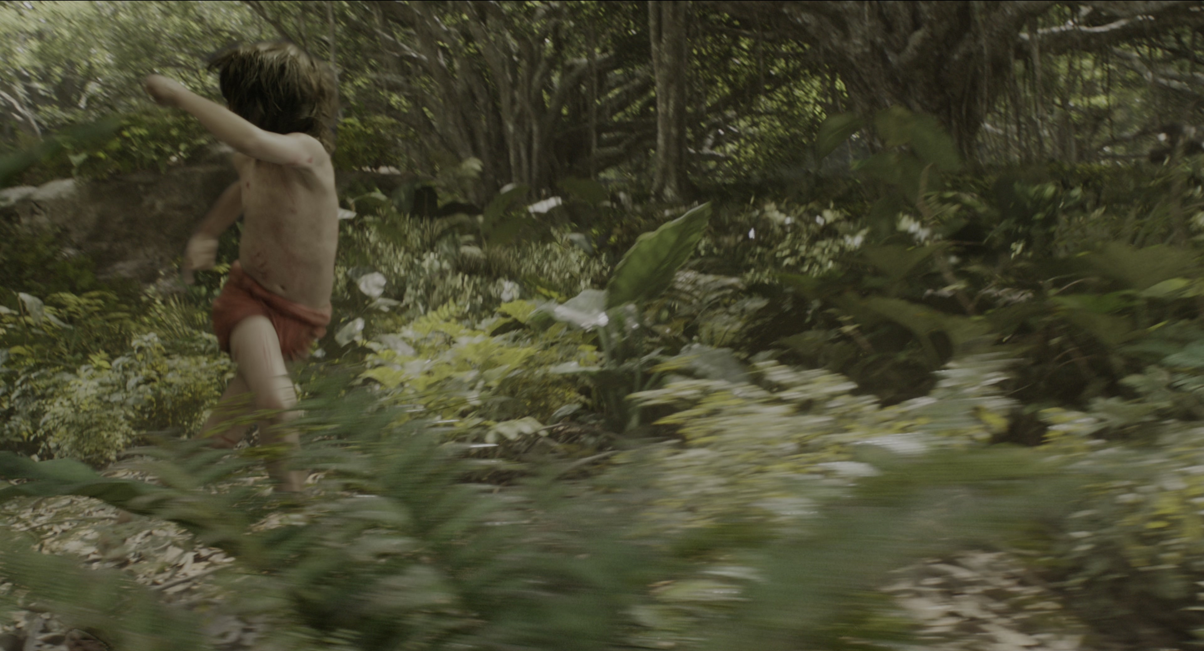 The Jungle Book (2016), wide, 1.85:1 — film still