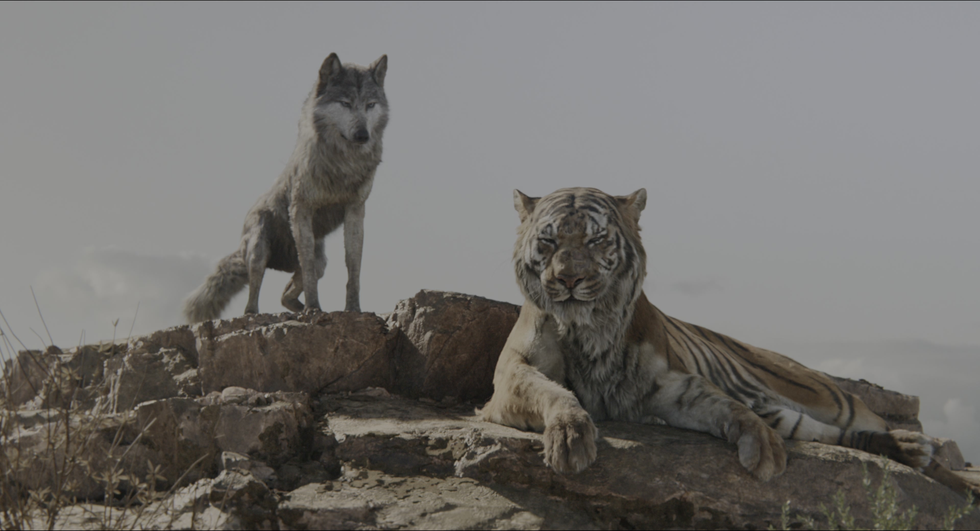 The Jungle Book (2016), wide, 1.85:1 — film still