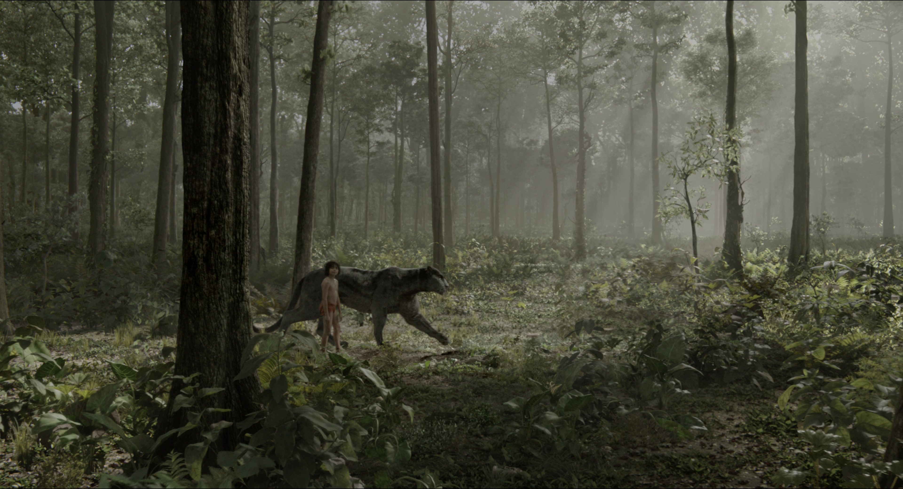 The Jungle Book (2016), medium, 1.85:1 — film still