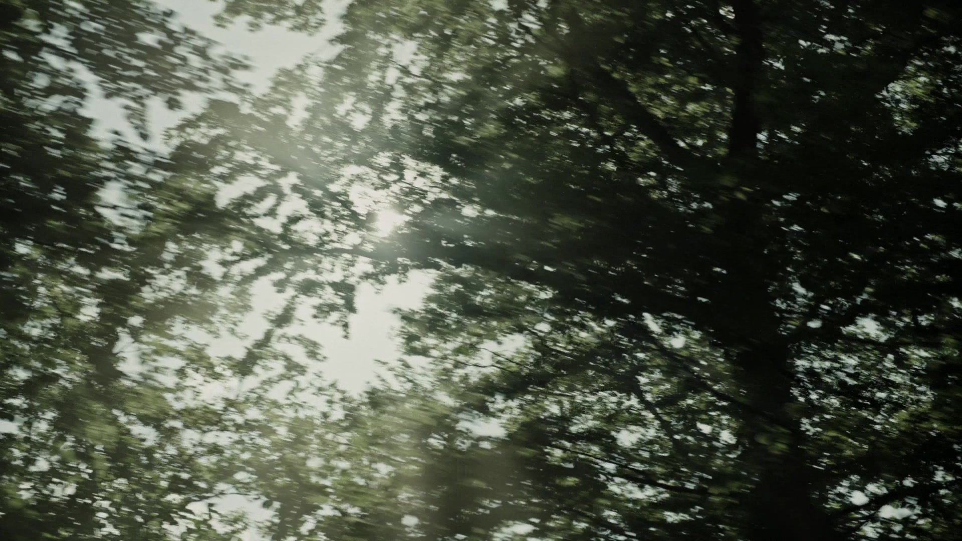 A Cure for Wellness (2017), wide, 1.78:1 — film still