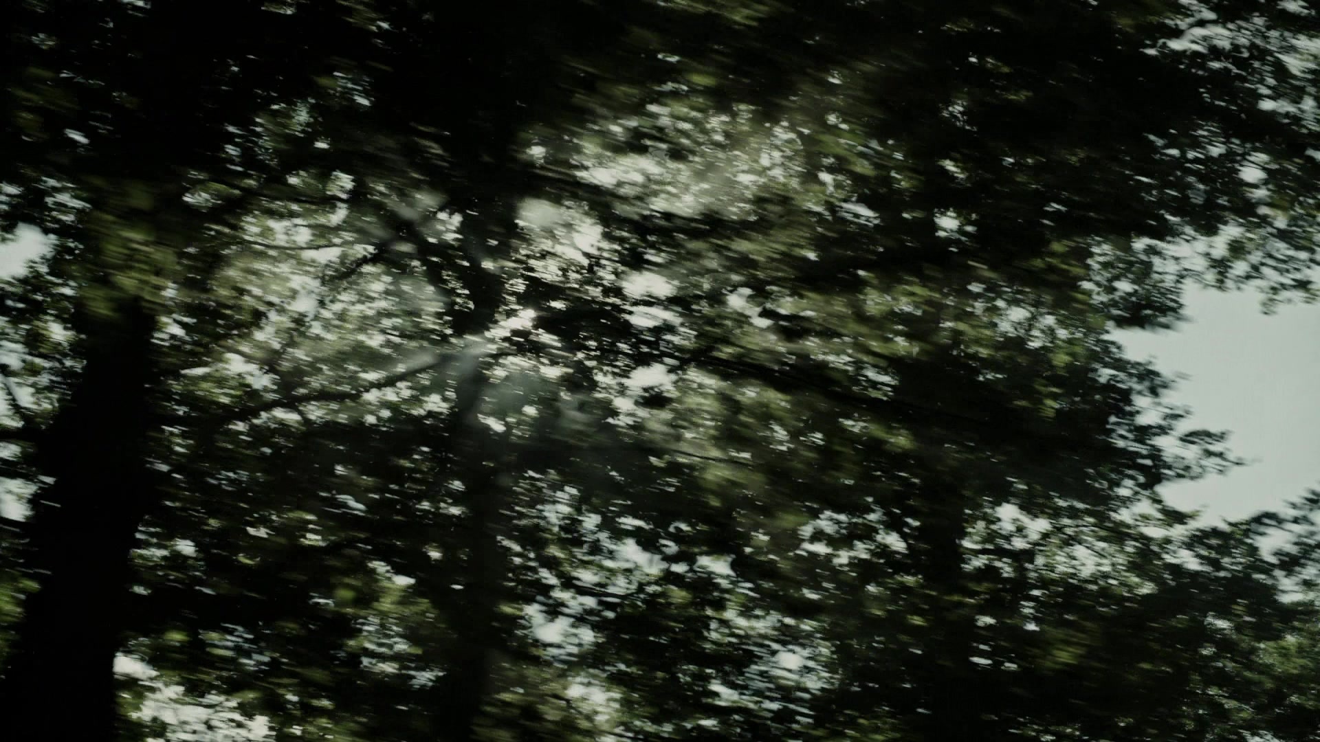 A Cure for Wellness (2017), wide, 1.78:1 — film still