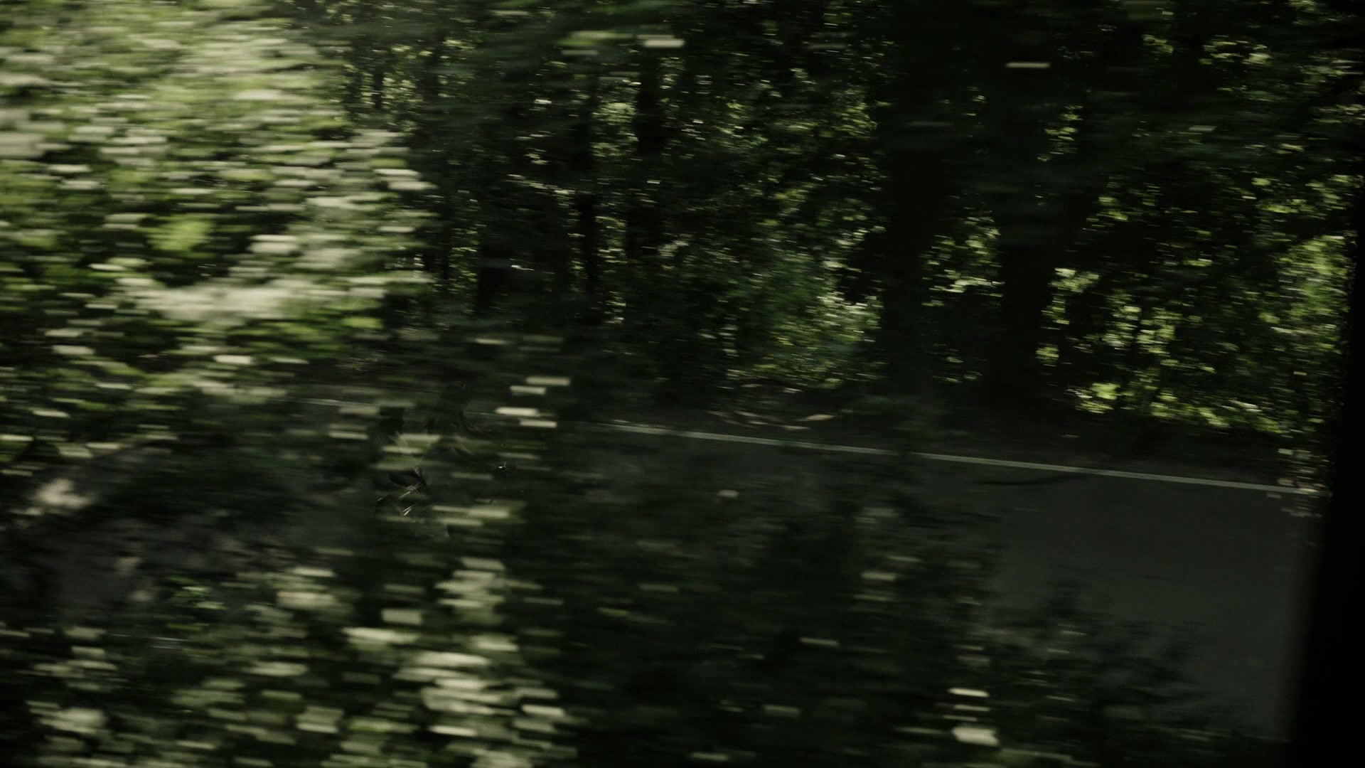 A Cure for Wellness (2017), unknown, 1.78:1 — film still