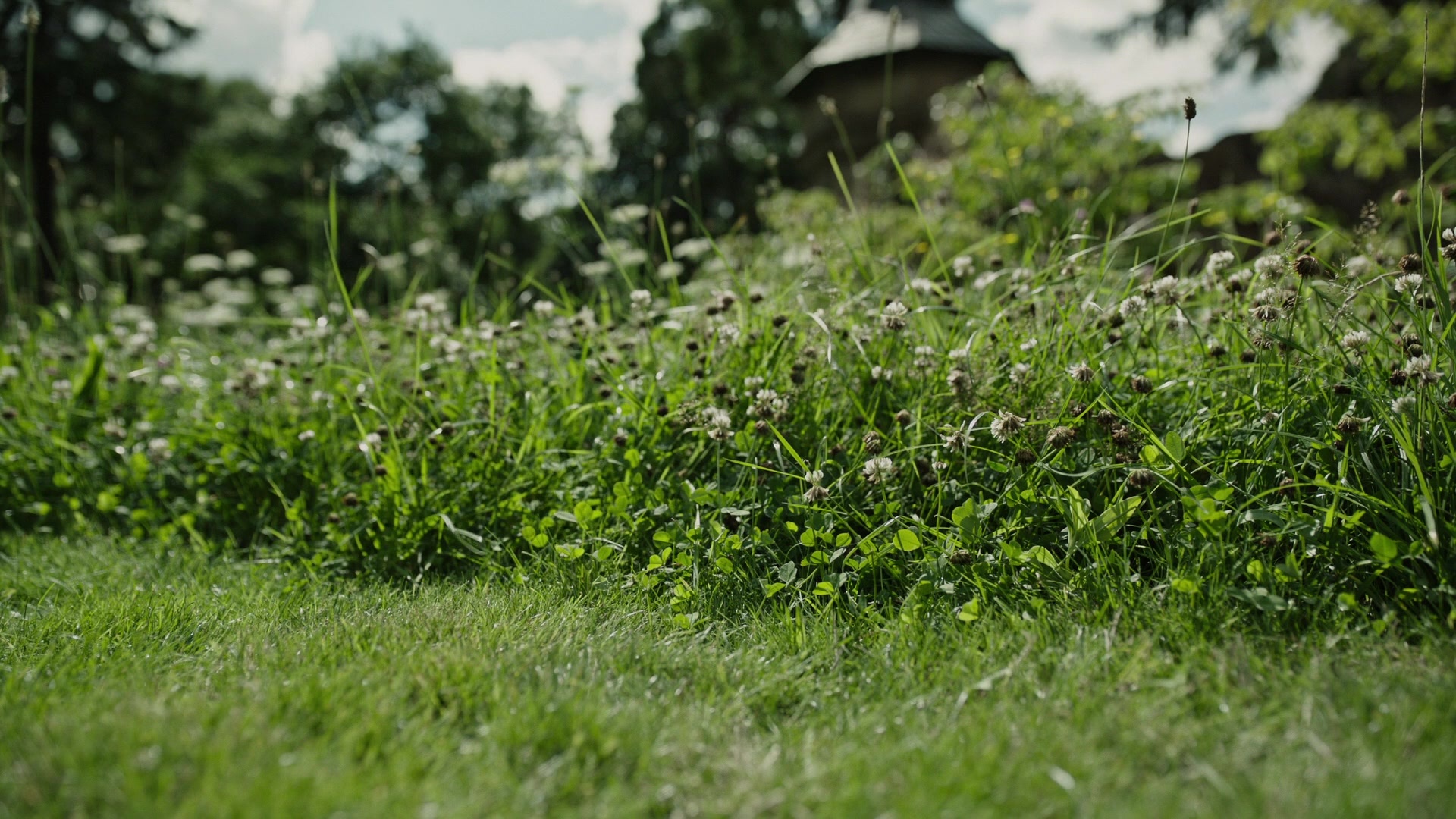 A Cure for Wellness (2017), wide, 1.78:1 — film still