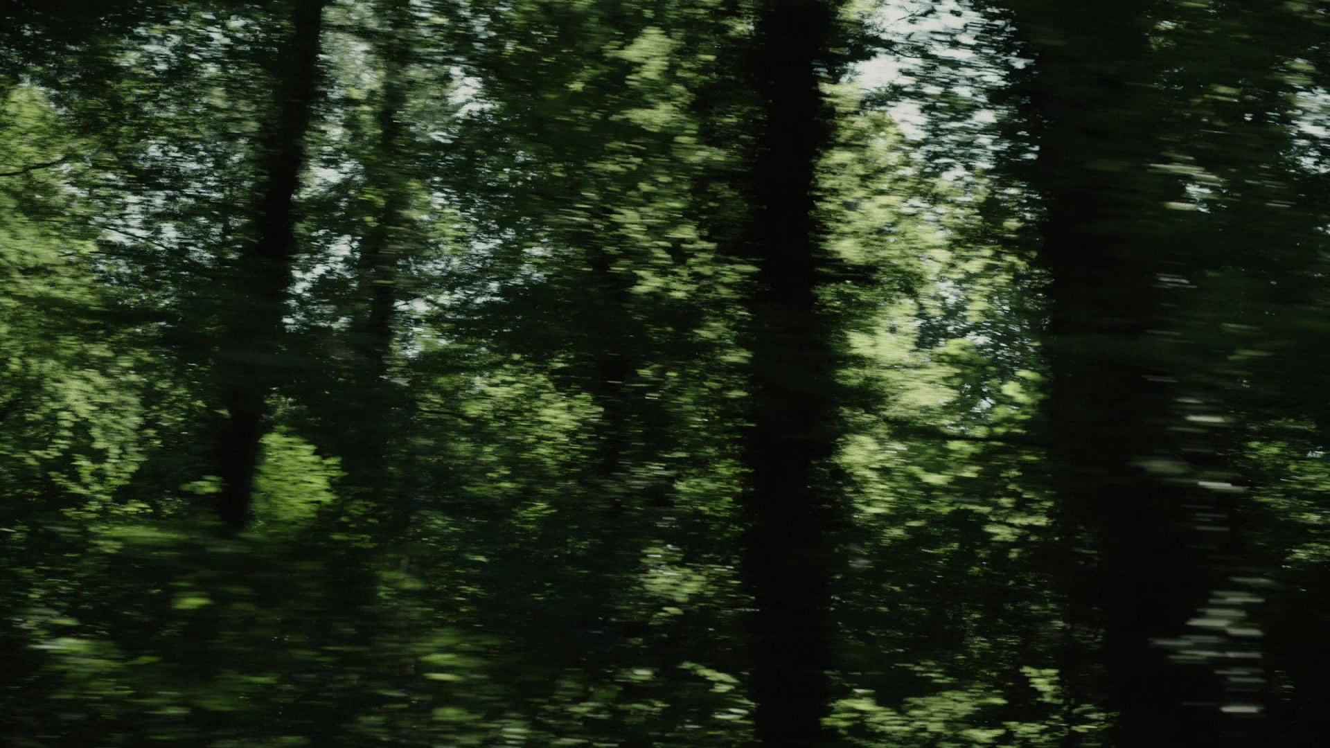 A Cure for Wellness (2017), wide, 1.78:1 — film still