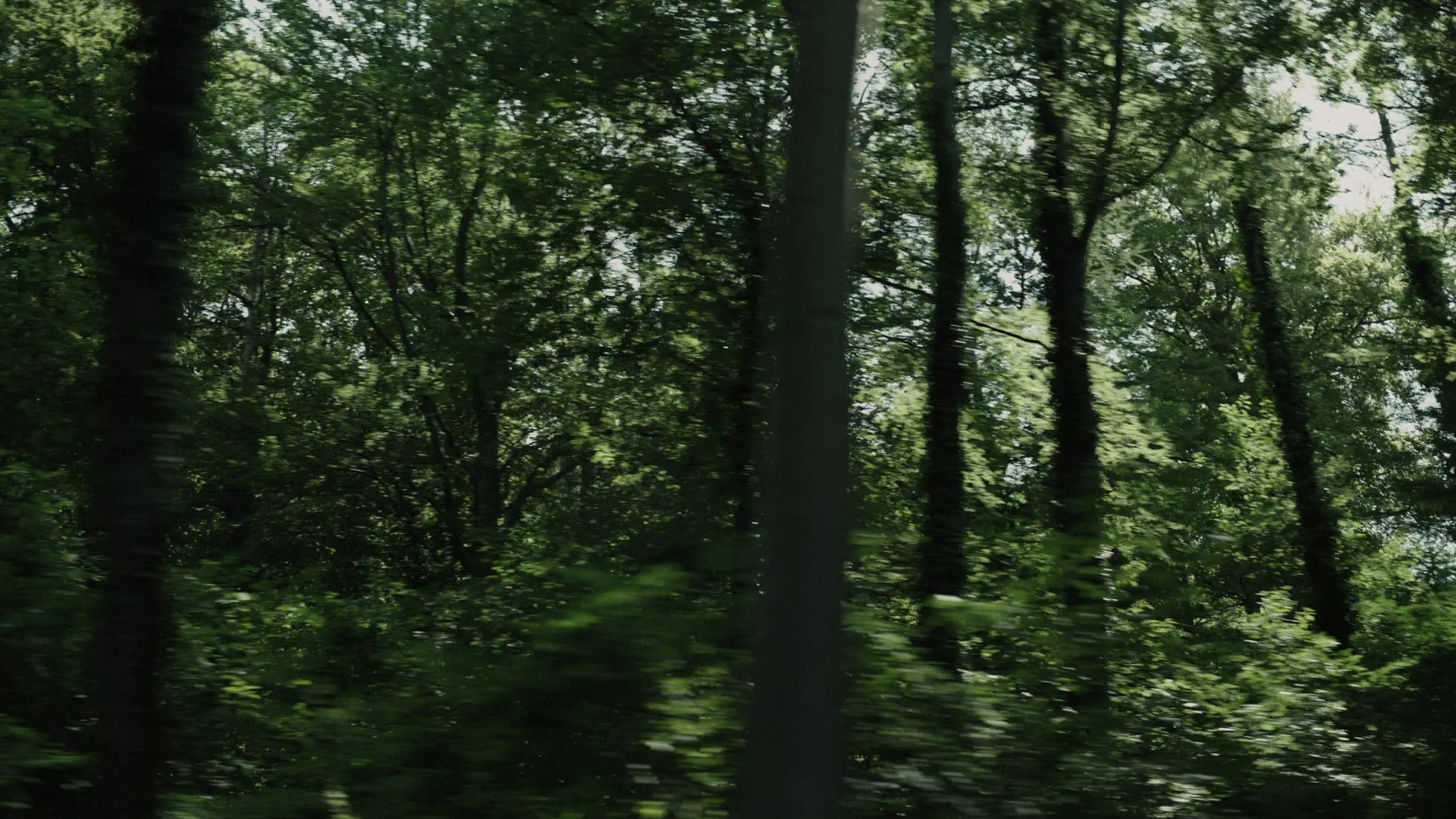 A Cure for Wellness (2017), wide, 1.78:1 — film still