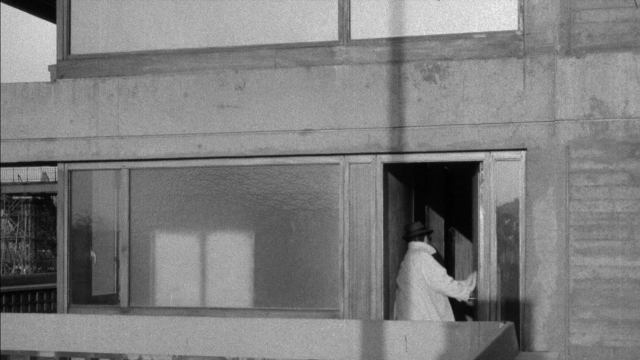 seria-19812.jpg
