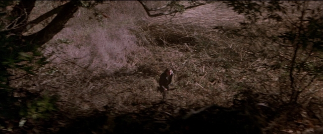 Frame from Black Rain — standing, bird, running