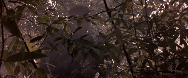 Wide shot frame from Black Rain — bird, forest