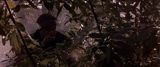 seria-252335.jpg