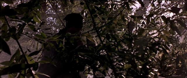 Wide shot frame from Black Rain — bird