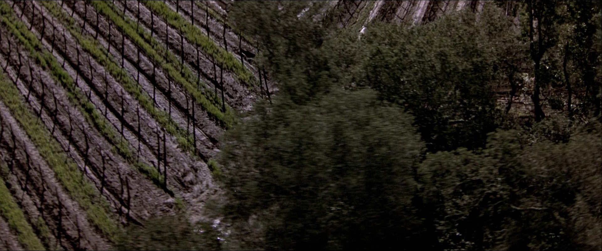 Black Rain (1989), wide, 2.39:1 — film still