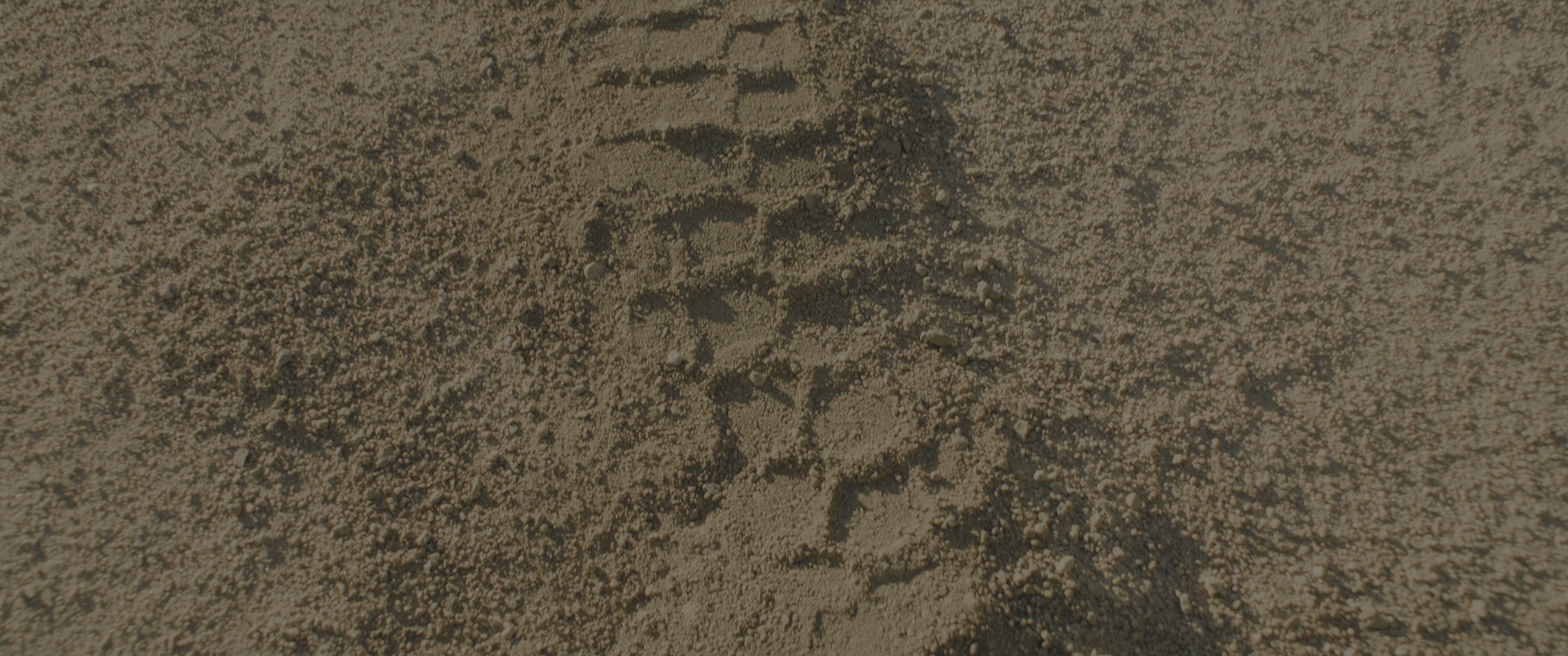 Borderlands (2024), wide, 2.39:1 — film still