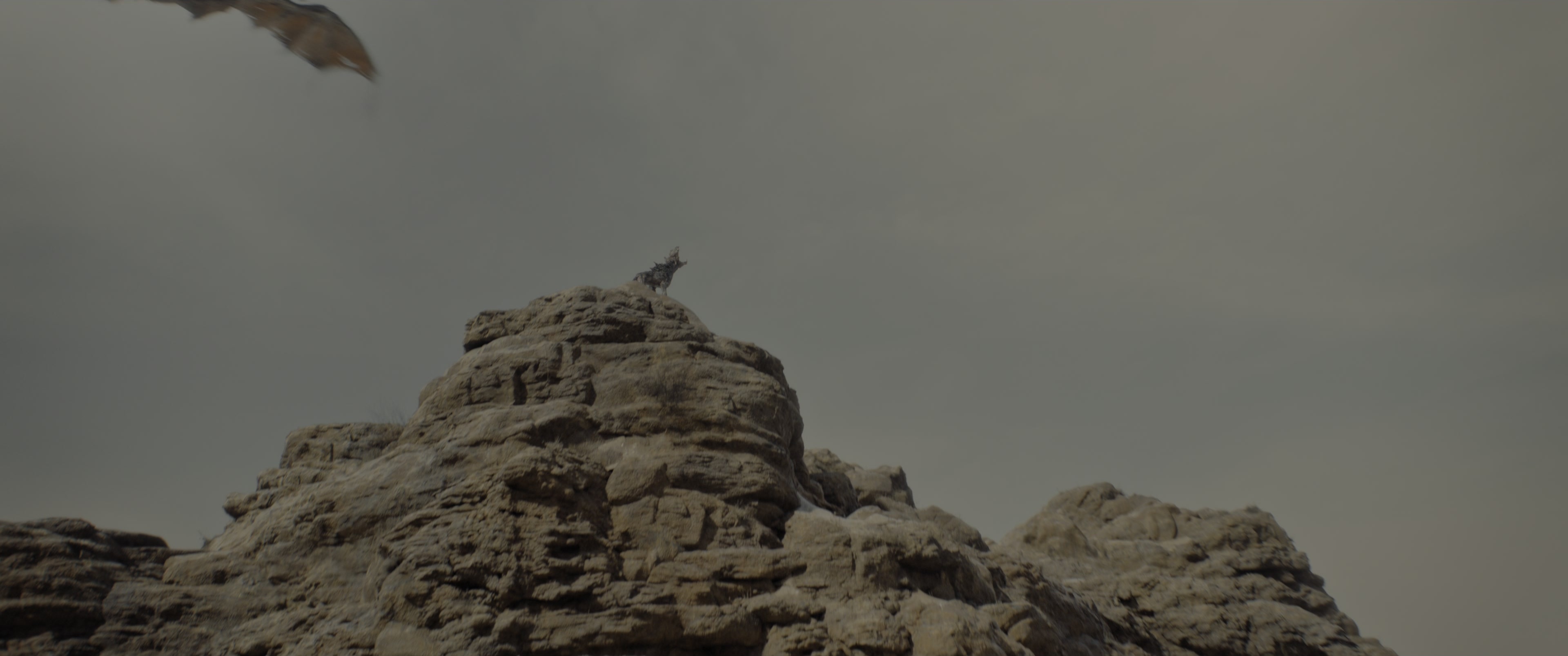 Borderlands (2024), unknown, 2.39:1 — film still