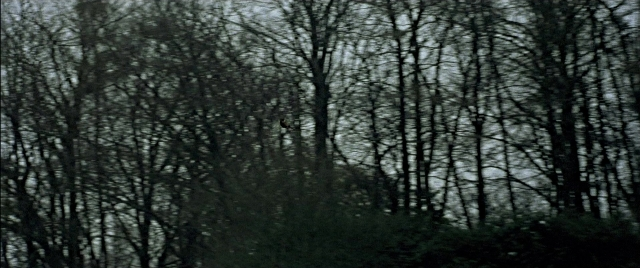 Wide shot frame from Gosford Park — bird, forest