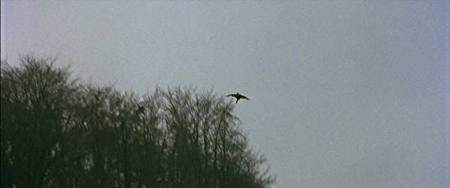 Wide shot frame from Gosford Park — bird