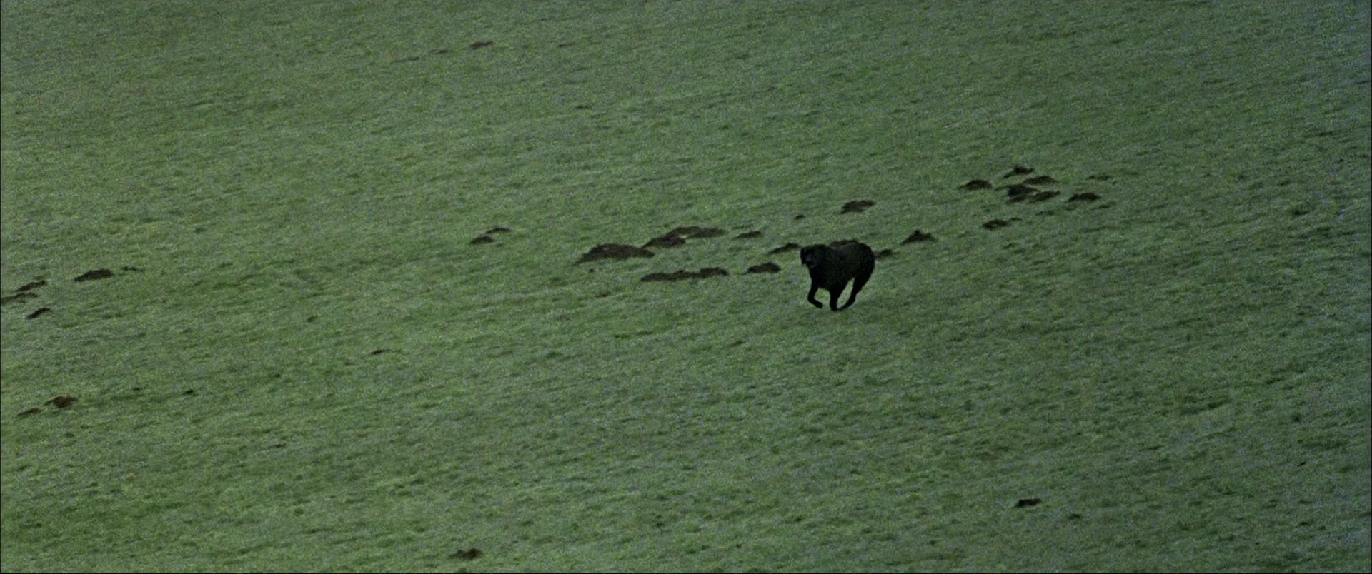 Gosford Park (2001), unknown, 2.39:1 — film still