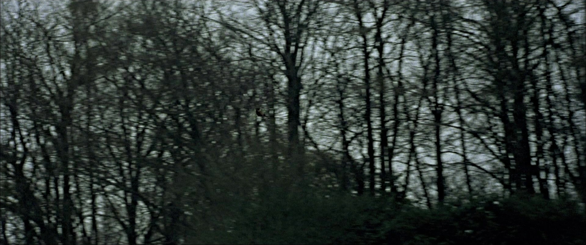 Gosford Park (2001), wide, 2.39:1 — film still
