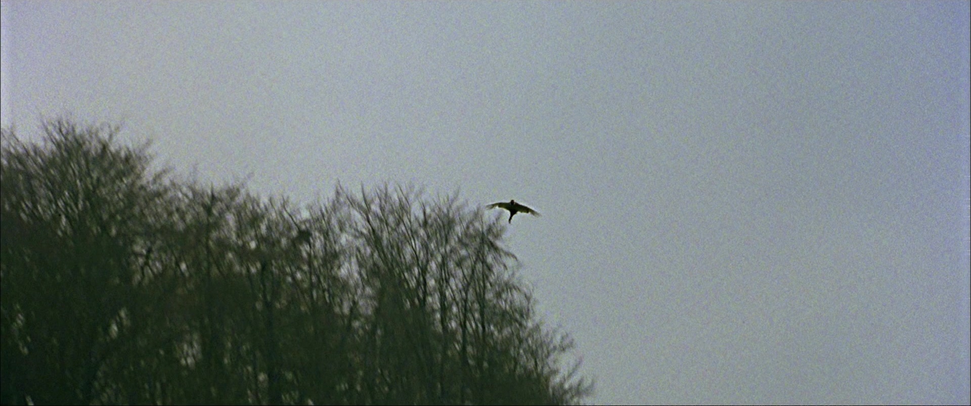 Gosford Park (2001), wide, 2.39:1 — film still