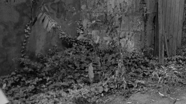 Wide shot frame from In the Mouth of Madness — bed, house