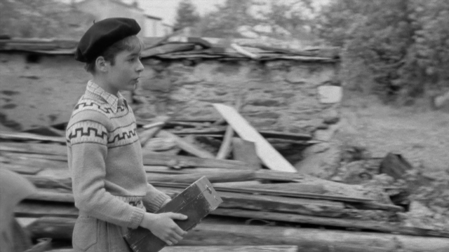 seria-193541.jpg