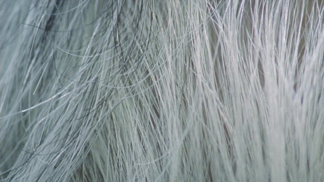 In the Mouth of Madness — film still