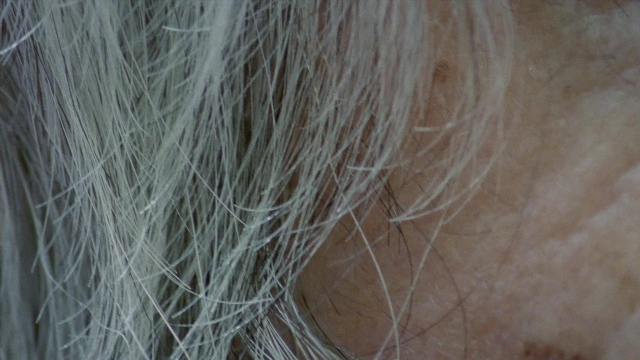 In the Mouth of Madness — film still