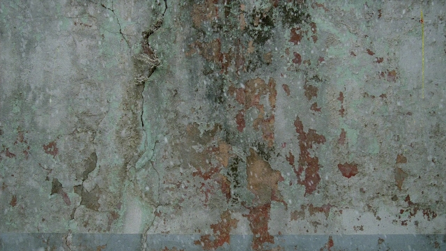 In the Mouth of Madness — film still