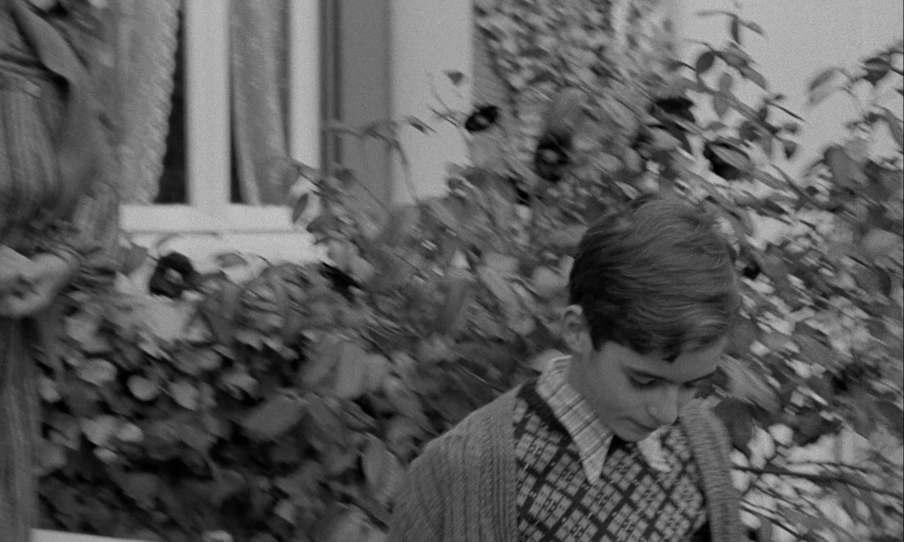In the Mouth of Madness (1991), wide, 1.67:1 — film still