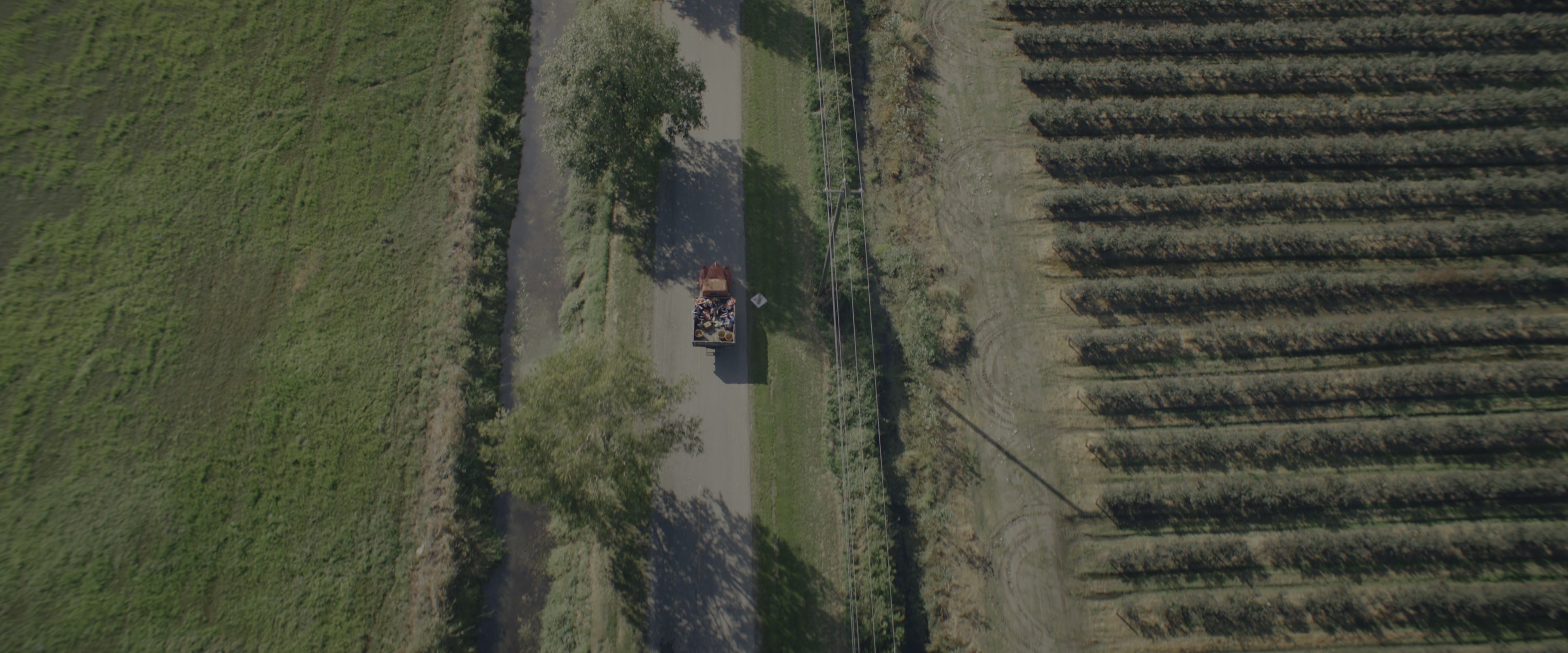 Joy Ride (2023), wide, 2.40:1 — film still