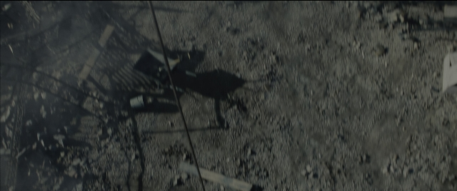 Wide shot frame from West Side Story — standing, animal, bird