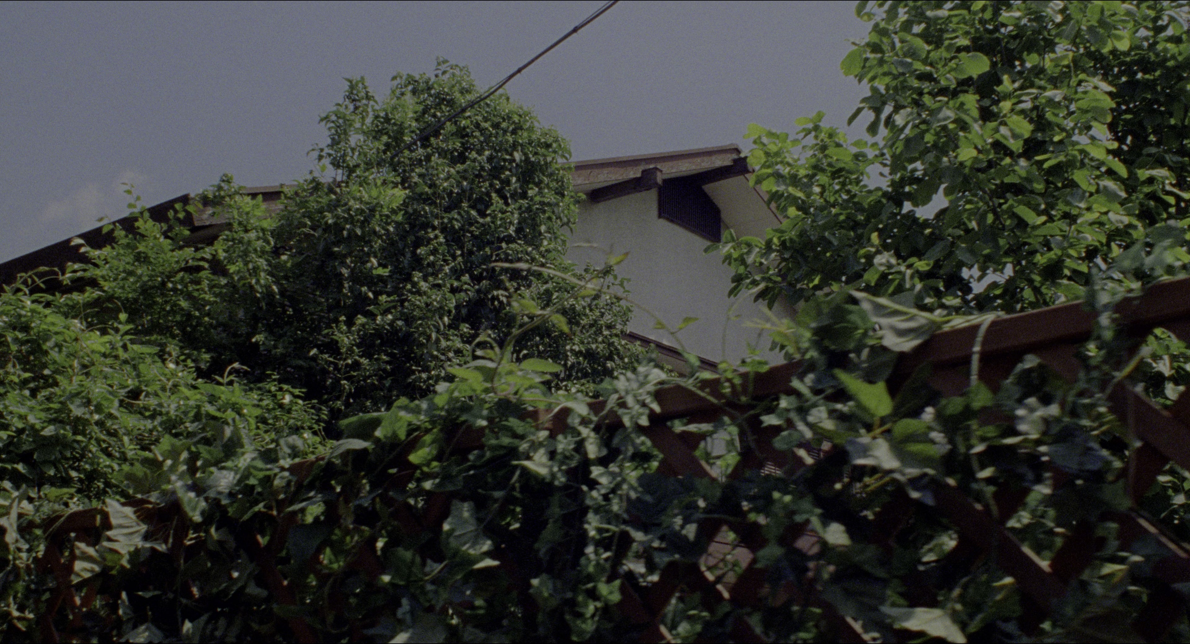 Ju-on (2002), wide, 1.85:1 — film still