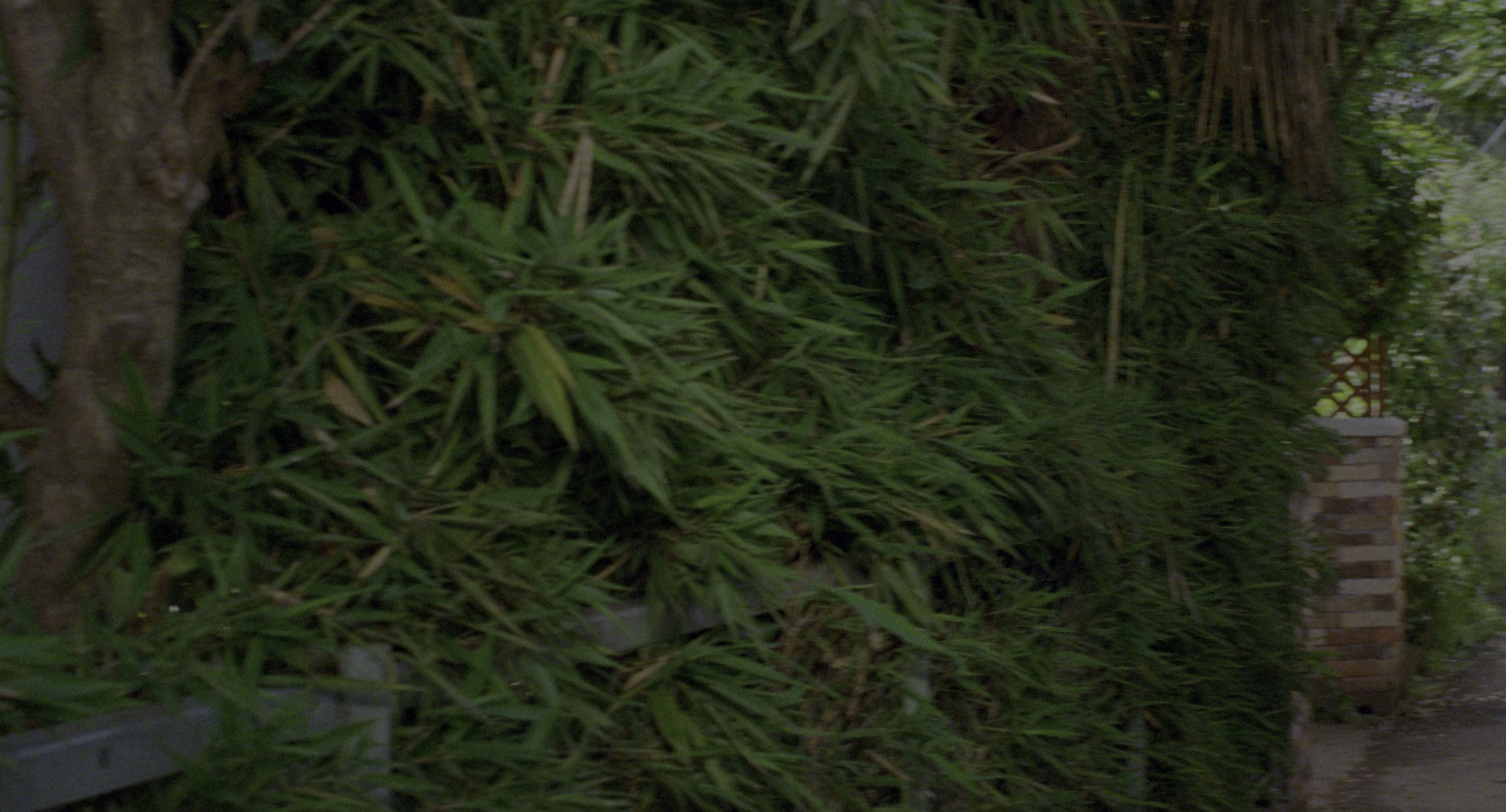 Ju-on (2002), wide, 1.85:1 — film still