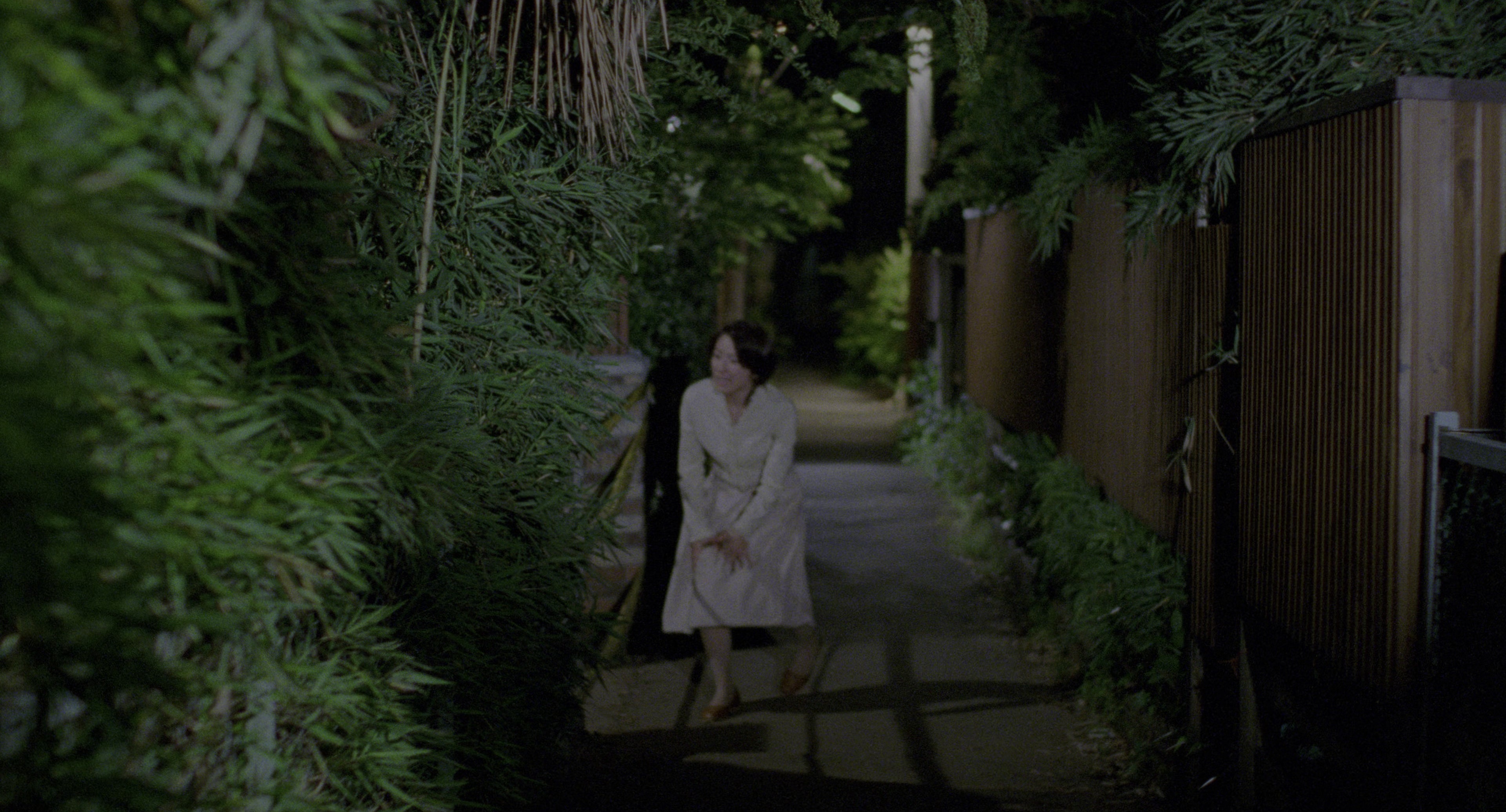 Ju-on (2002), wide, 1.85:1 — film still