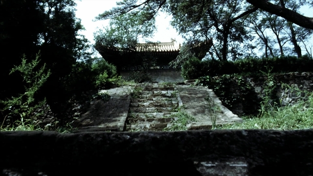 seria-2770685.jpg