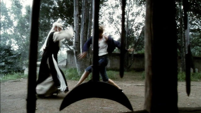 Wide shot frame from Kill Bill: Vol. 2 — forest, fight, person