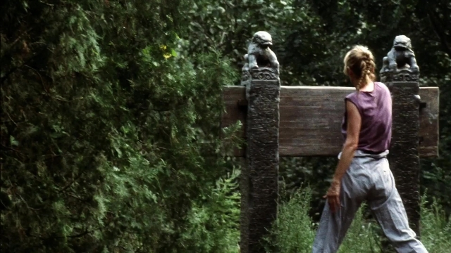 Wide shot frame from Kill Bill: Vol. 2 — walking, hair, bird
