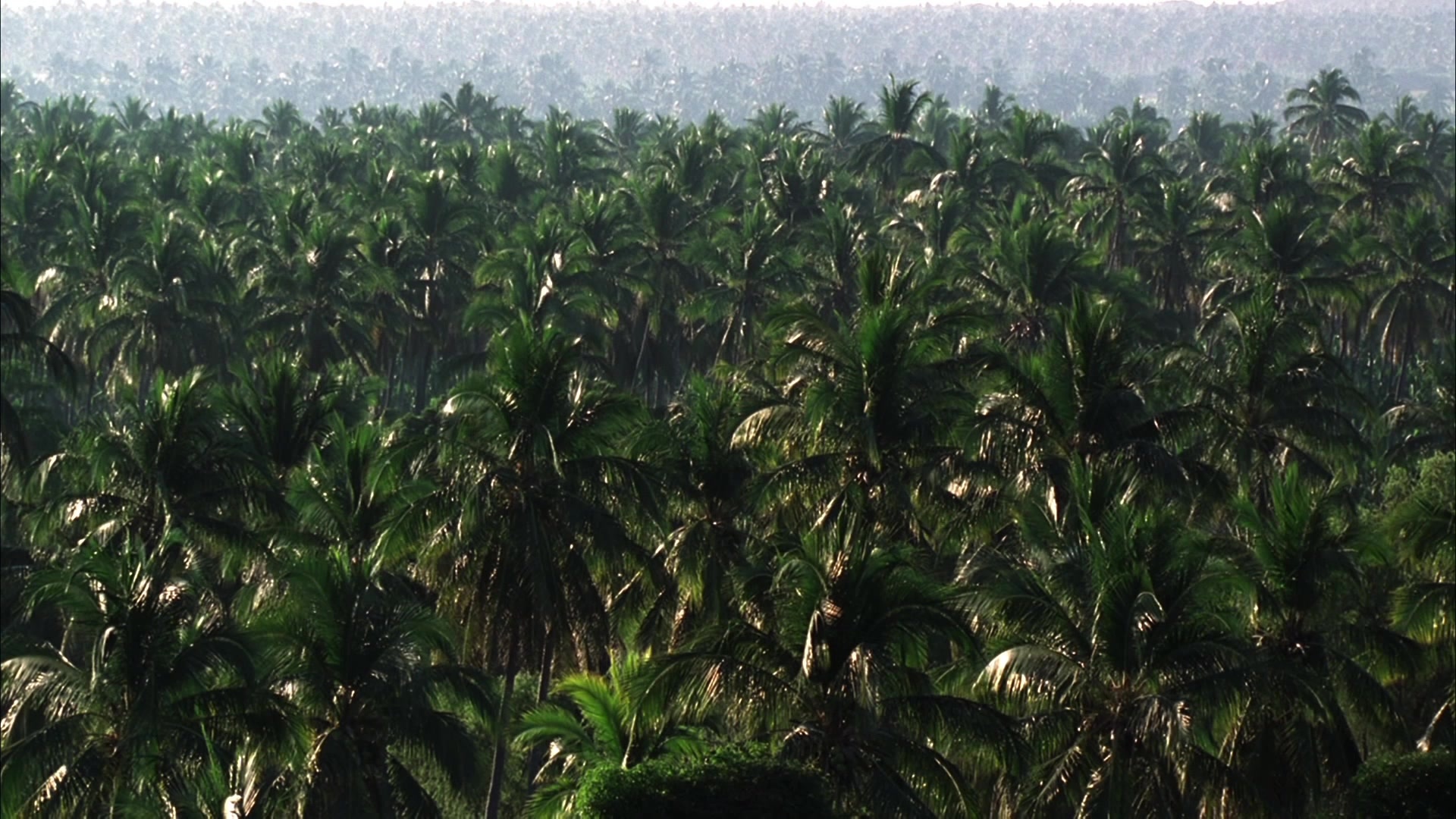 Kill Bill: Vol. 2 (2004), wide, 1.78:1 — film still