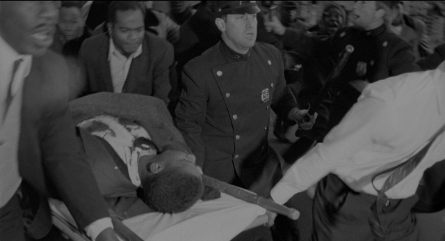 seria-11262.jpg