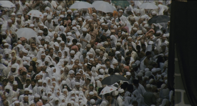 seria-246287.jpg
